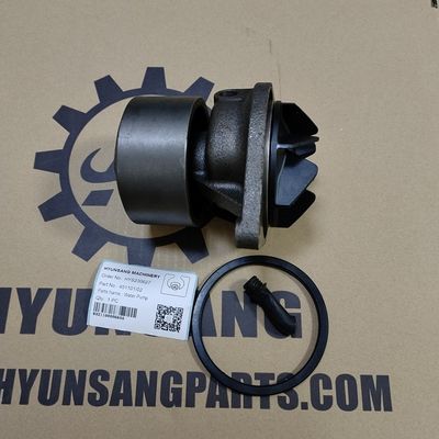 Hyunsang Parts Construction Machinery Parts Natural Gas Engine Water Pump 451031/02 451091/03
